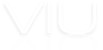 THE VIU INC